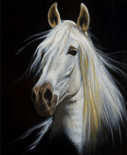 Crazy Horse, Oil on Canvas -- 24 x 18